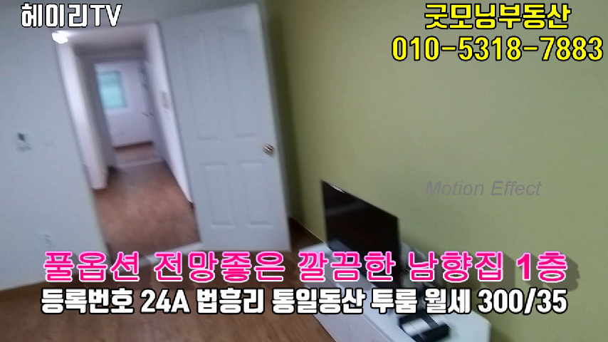  파주 탄현면 법흥리 투룸 월세 300/35만 풀옵션 올수리한 깔끔한 남향집 1층