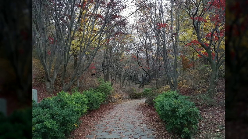  대구 산악회 추천~