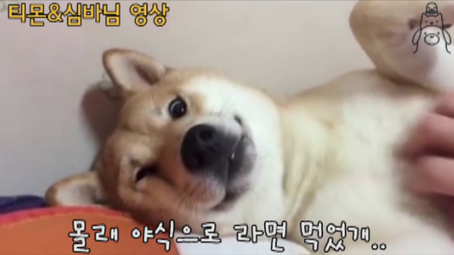  라면 먹어서 그래