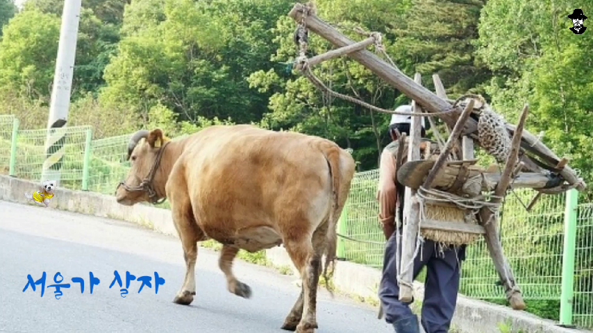 서울가나 이미지