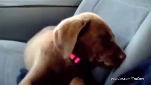 나 잘거다 시바 | 인스티즈