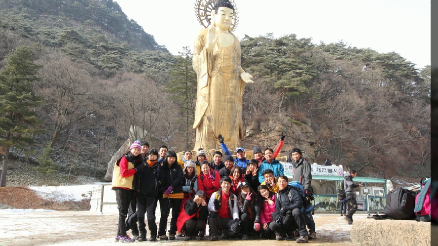  등산중 독사에게 물렸을 경우에 대하여~