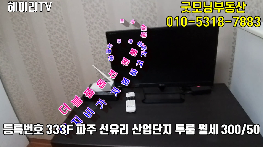  파주 문산읍 선유리 산업단지 투룸 임대 원룸 플러스 원룸형 커플룸 더블 풀옵션 탑층 