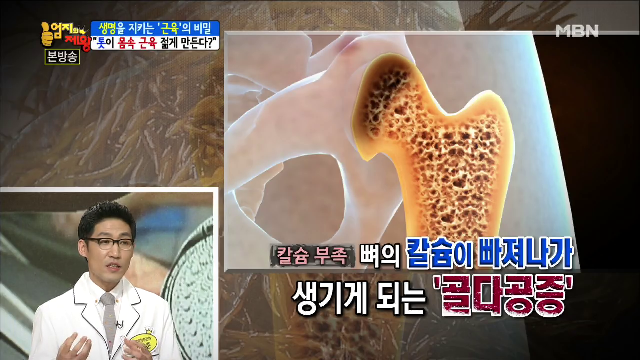  근육 건강에 중요한 칼슘