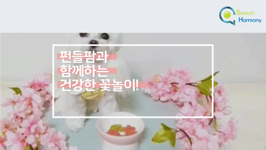 펀들팜의 동영상 - kakaoTV 펀들팜의 동영상