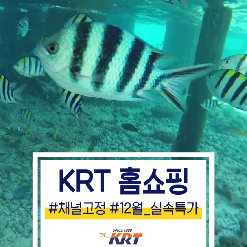 😍 KRT 금주의 홈쇼핑 베캄 & 스페인 & 세부 😍 가 - kakaoTV 지금... 곳들로만 모으고 모았다! 😍 KRT 금주의 홈쇼핑 베캄 & 스페인 & 세부 😍  가