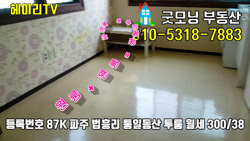  파주 탄현면 법흥리 투룸 임대 풀옵션 두집 생활이 가능한 더블원룸 3층
