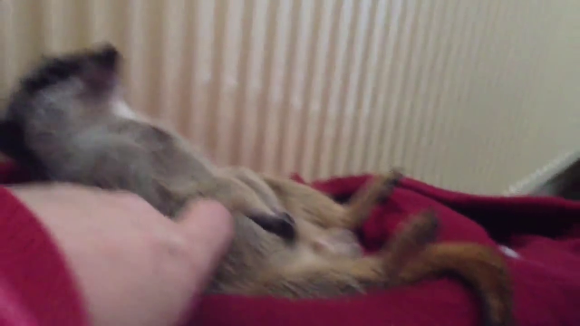 나 잘거다 시바 | 인스티즈