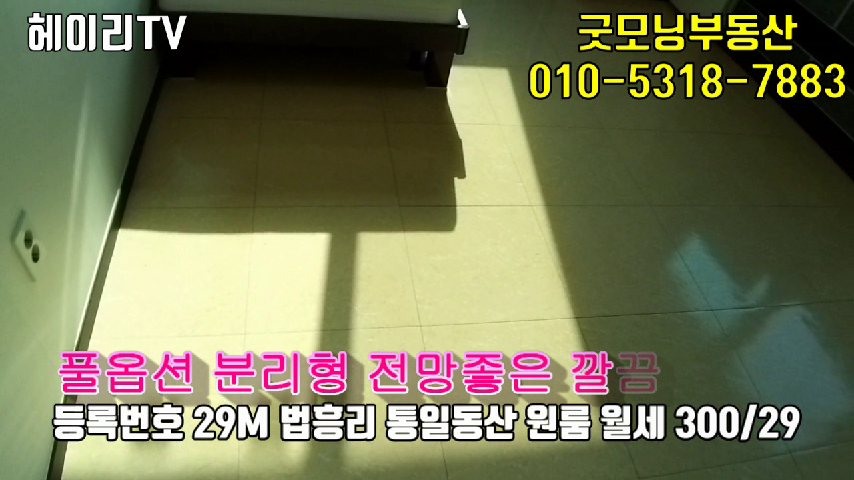  파주 탄현면 법흥리 통일동산 원룸 임대 펜션형 고급풀옵션 인터넷완비