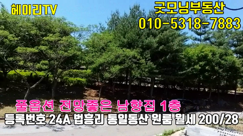  파주 탄현면 법흥리 통일동산 원룸 월세 200/28만 전망좋은 남향집, 헤이리 원룸 임대