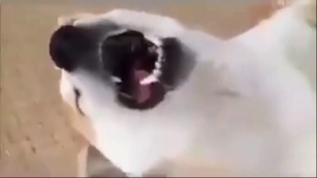 나 잘거다 시바 | 인스티즈