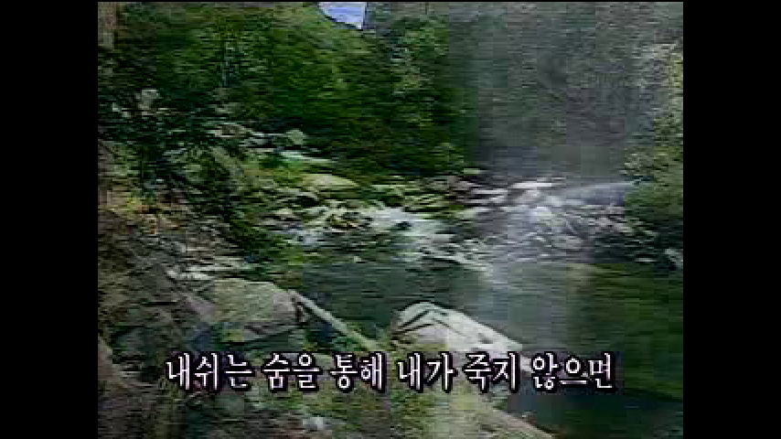지감 이미지