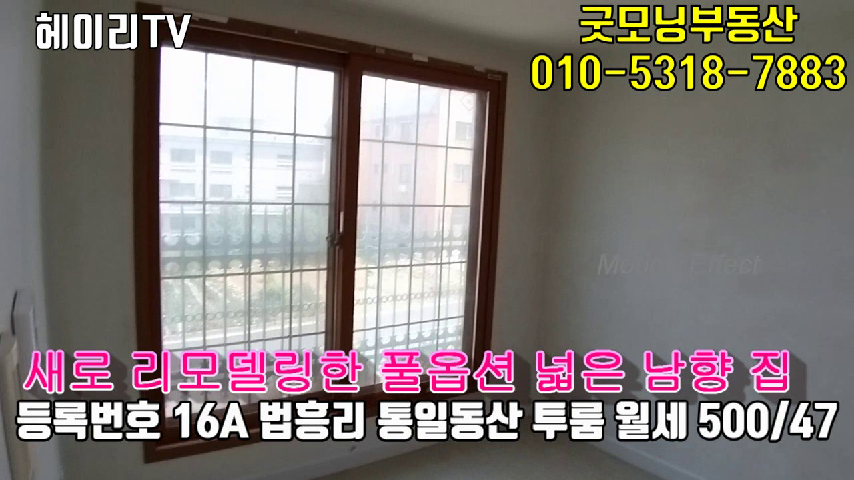  파주 탄현면 법흥리 투룸 임대 고급풀옵션 새싱크대 넓은집