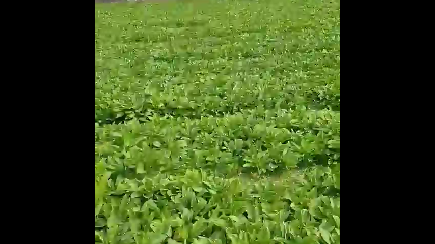 오늘은닭이랑 이미지