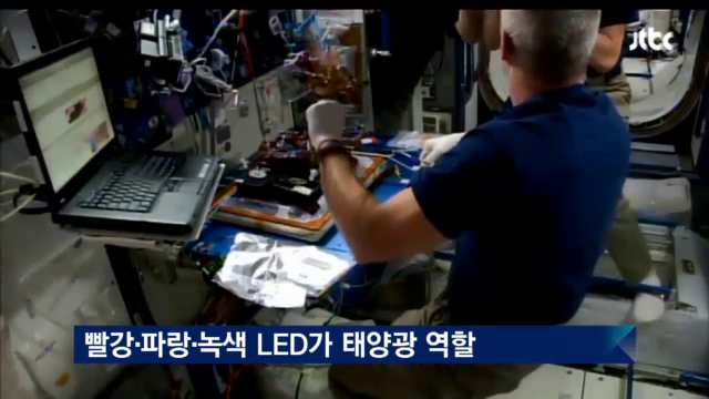  우주에서 기른 상추