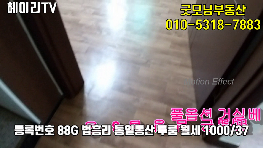  파주 탄현면 법흥리 통일동산 파주프리미엄아울렛 투룸 임대 풀옵션 넓은 쓰리베이형 