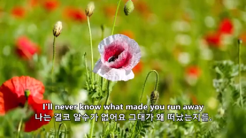 그린필드 이미지