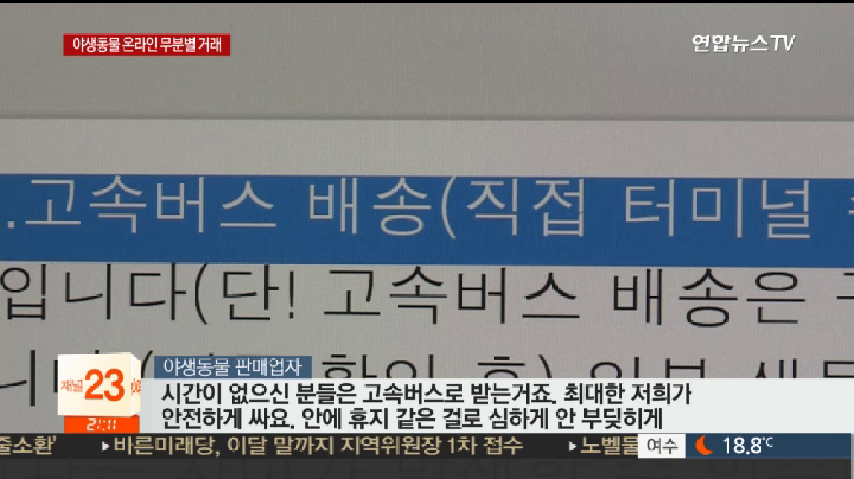 택배로 유통되는 카멜레온..야생동물 판매 허가제 추진 - kakaoTV 택배로 유통되는 카멜레온..야생동물 판매 허가제 추진
