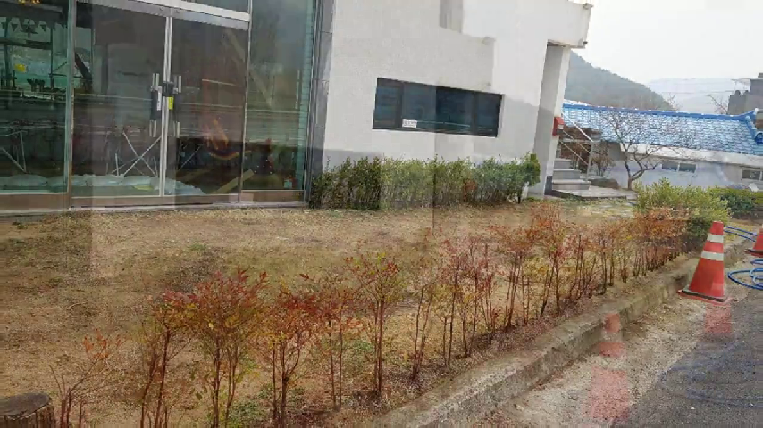  오색 사계절 나무 남천과 잔디씨를 파종한 대구쉼 실내캠핑장 실내글램핑 펜션