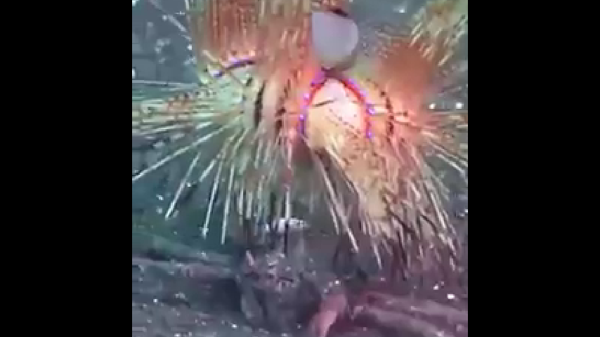 바다속풍경 이미지