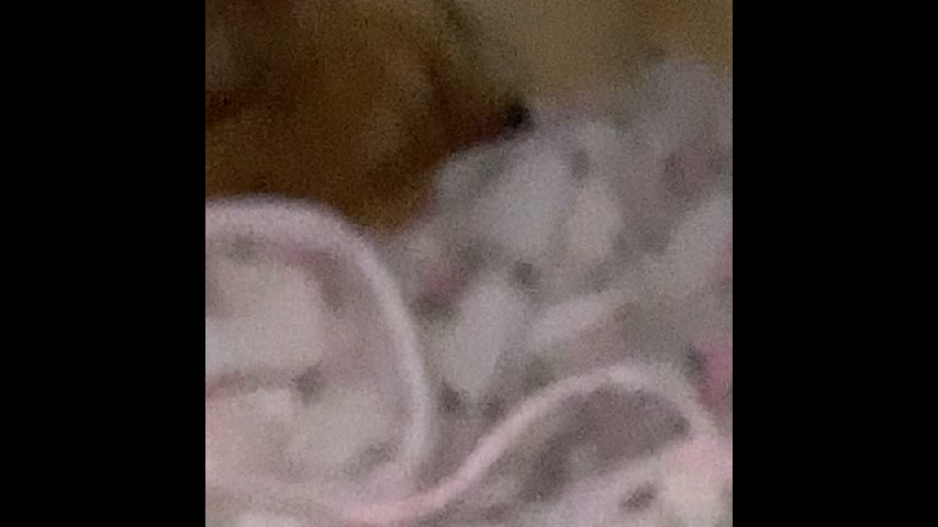 태령 이미지