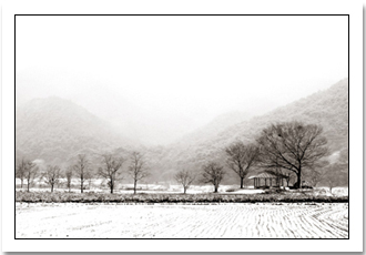 winter