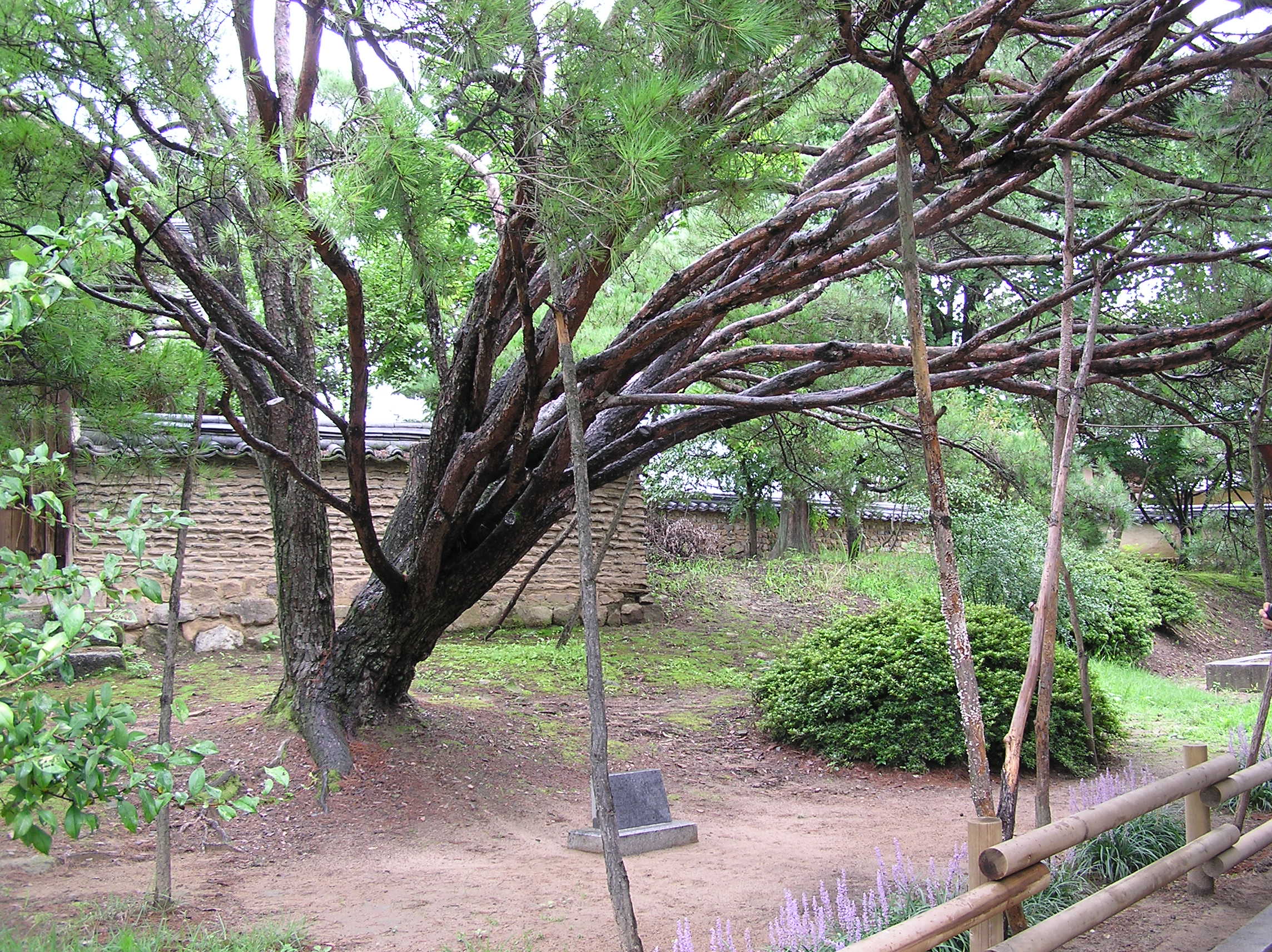 010jpg
