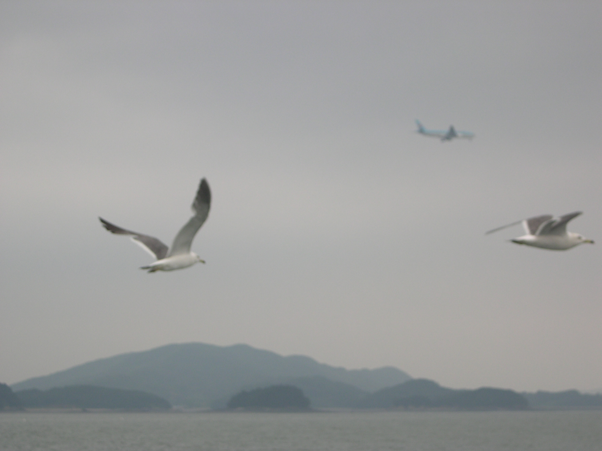용주농원 이미지
