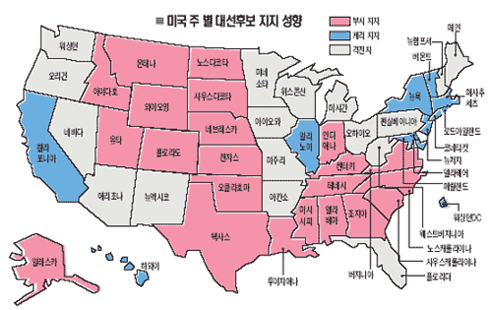 미국선거