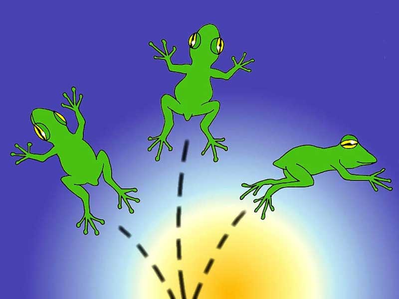 어디로튈지
