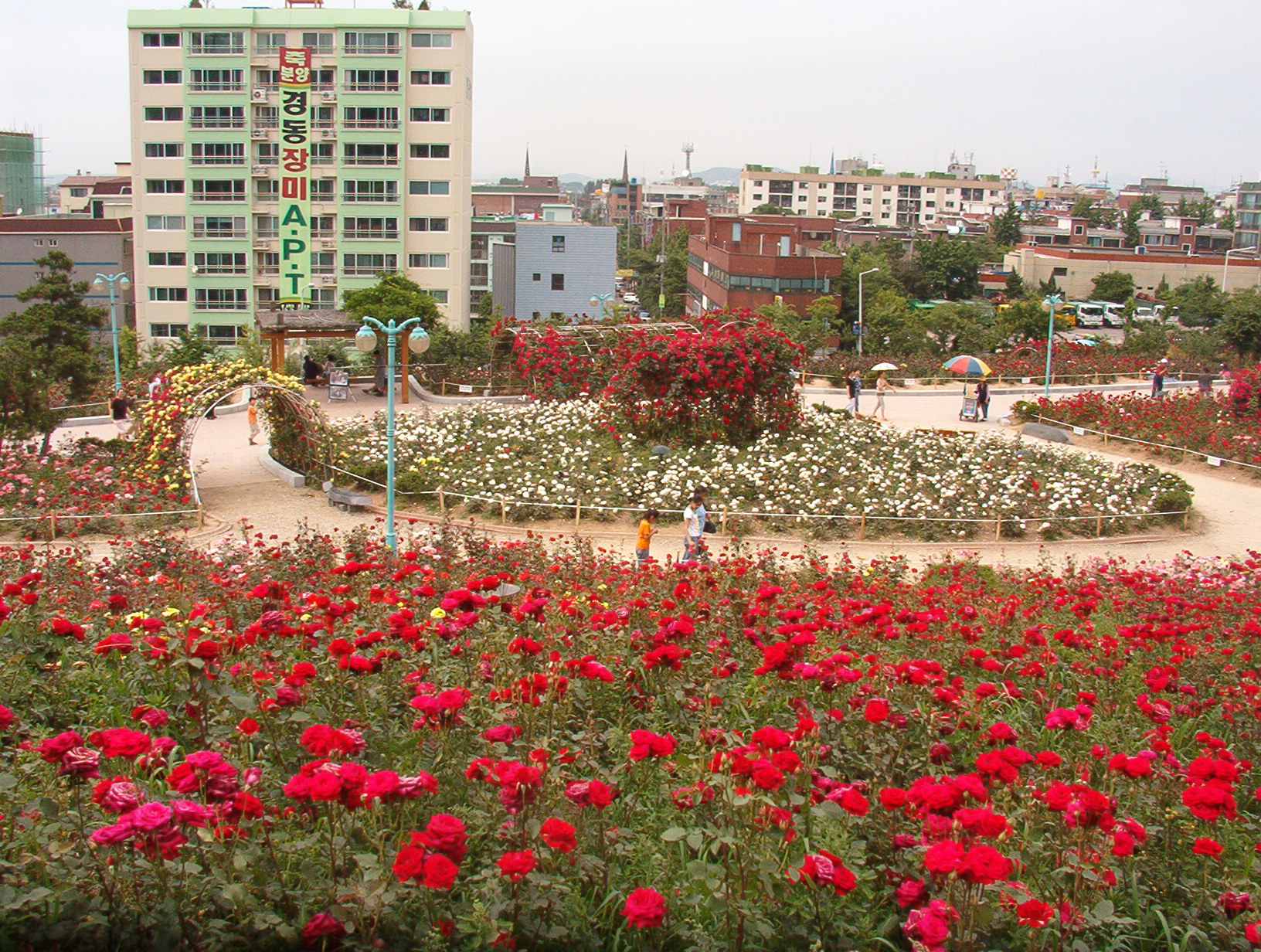 전경
