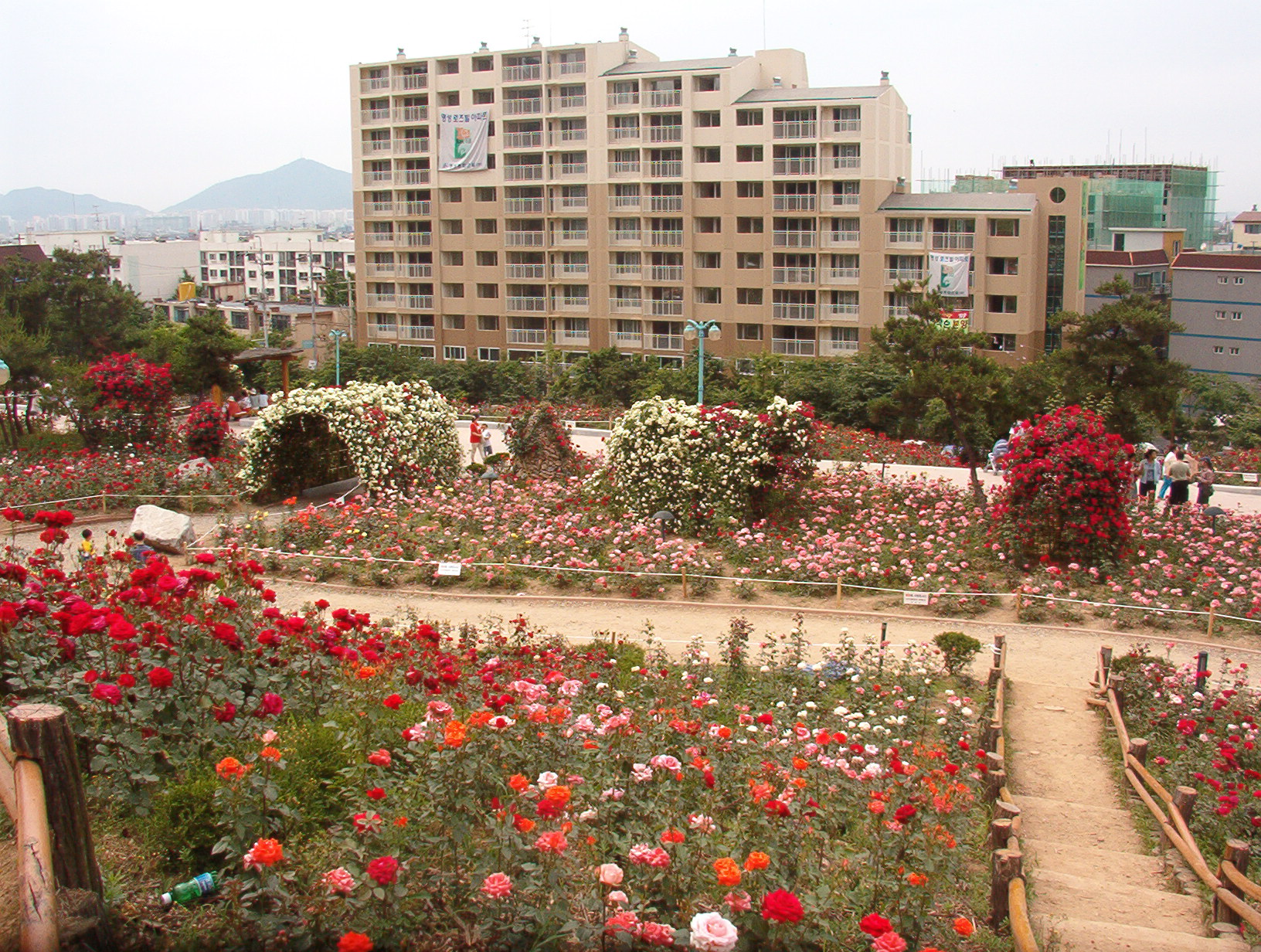 전경
