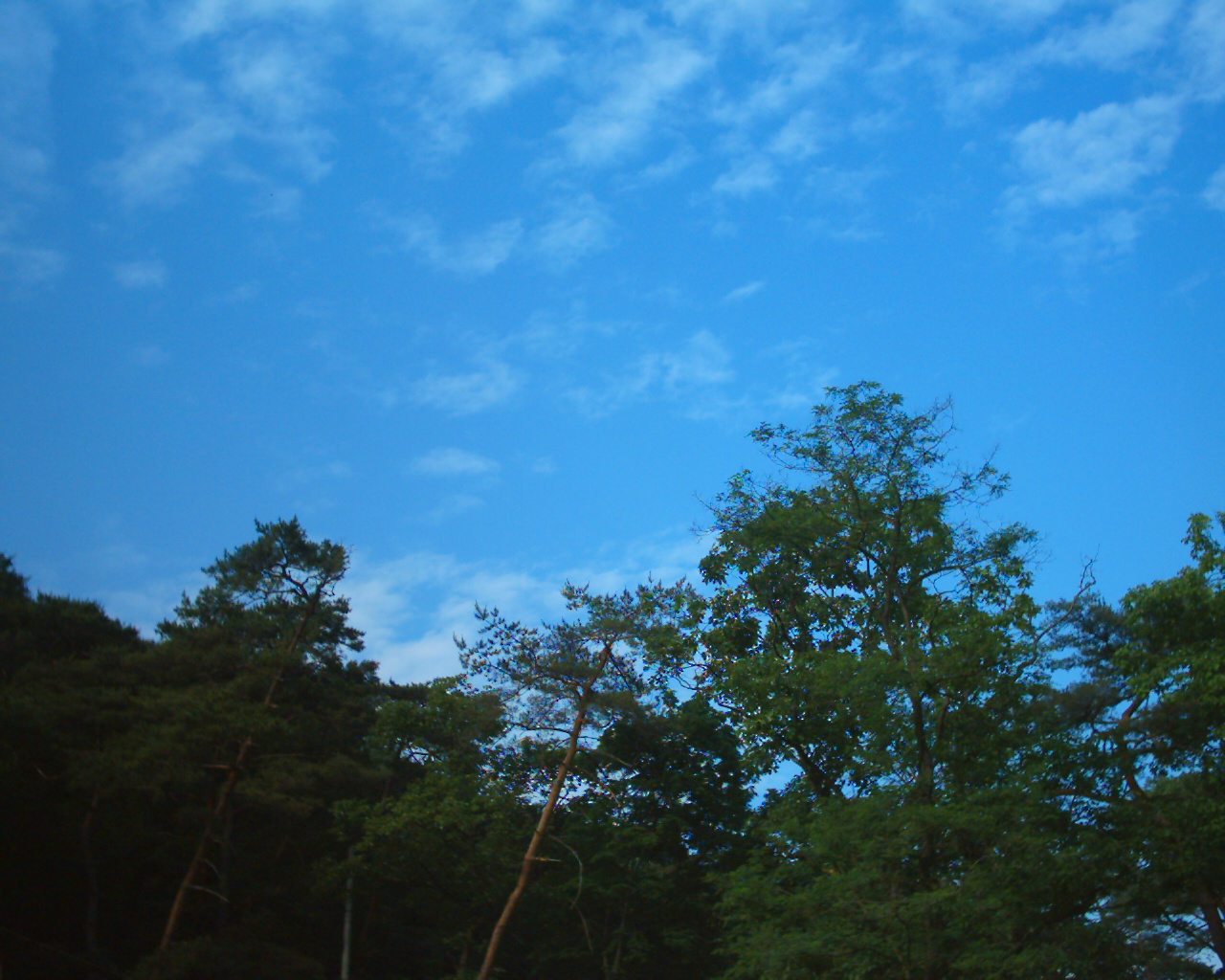 구름