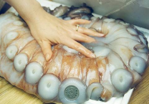 대형문어