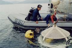 Diving, Bell