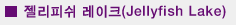 젤리핏쉬