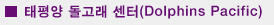돌고래쎈터