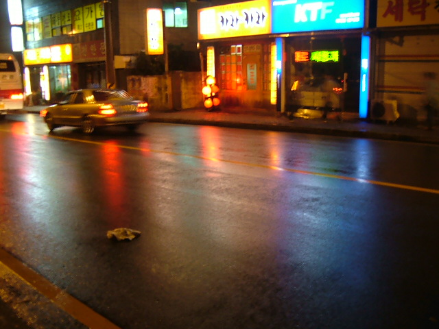 보다