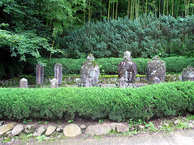 budo