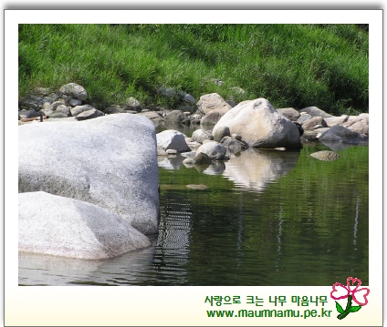자연