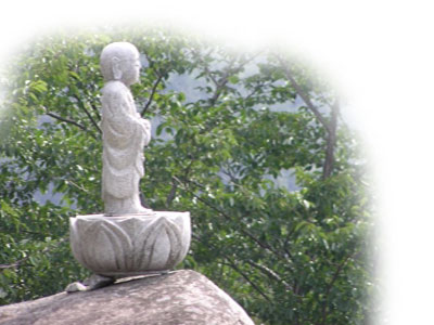 자연