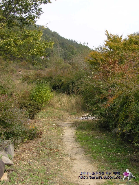 자연
