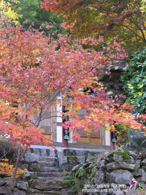 산사