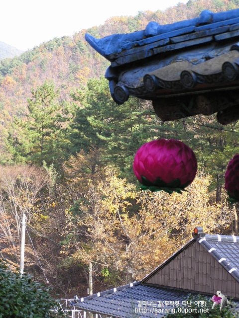 산사