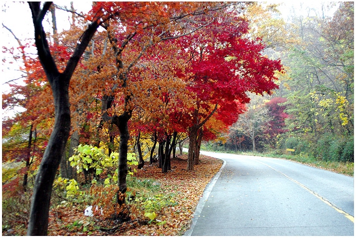 자연
