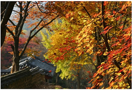 자연, 가을, 여행
