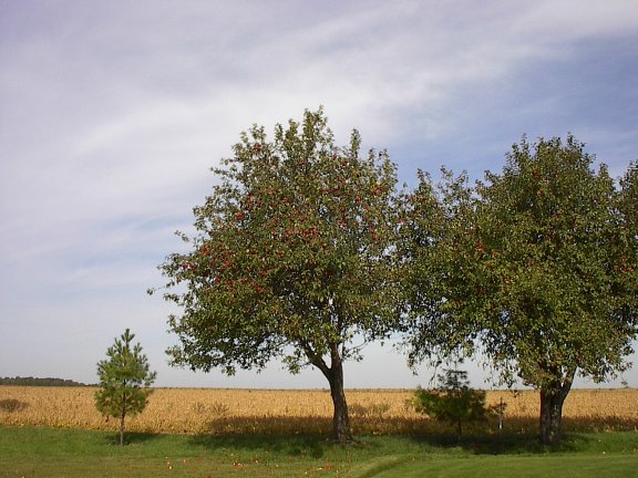 pa
