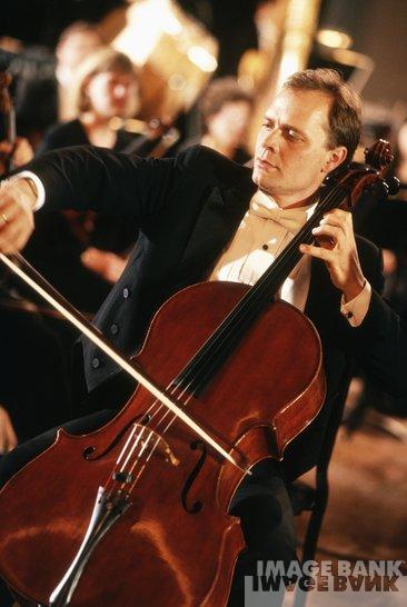 sy8