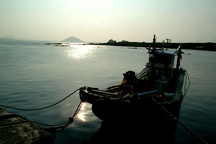 q바다