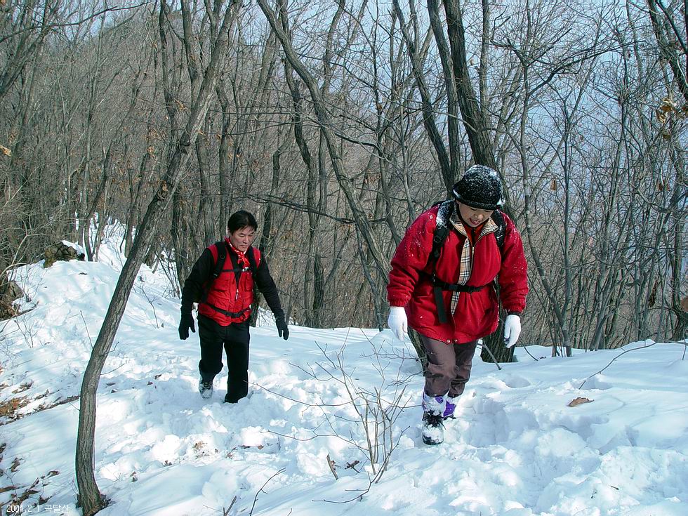 곡달산
